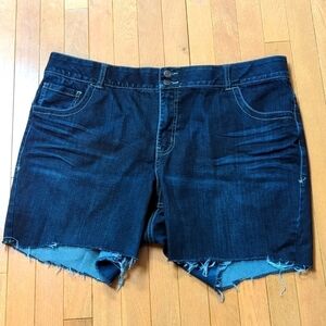 Lane Bryant Jean Shorts Size 22 Blue Denim Plus Stretch